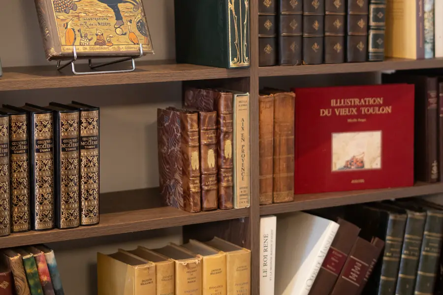 Rayonnages de livres anciens